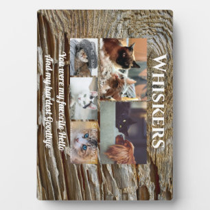 Pet memorial photo collage   favorite hello wood plaque