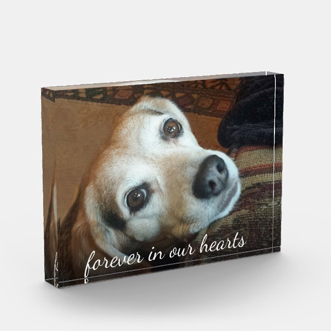 Pet Memorial Photo Forever In Our Hearts (Left)