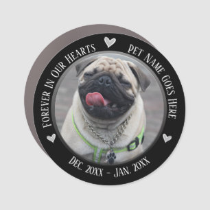 Pet Memorial Photo Forever in Our Hearts Car Magnet