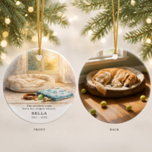 Pet Memorial Photo & Illustration Ornament