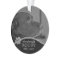 Pet Memorial Photo Paw Print Personalized Name