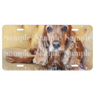 Pet memorial photo PERSONALIZE License Plate