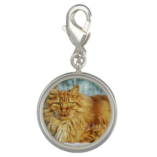 Pet memorial photo PERSONALIZE round Charm