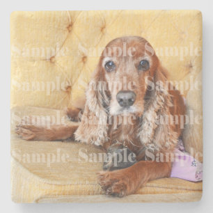 Pet memorial photo PERSONALIZE Stone Coaster
