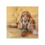 Pet Memorial Photo Personalize Wood Wall Decor at Zazzle