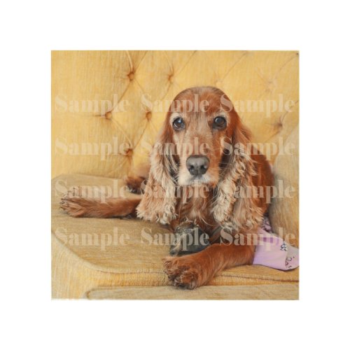 Pet memorial photo PERSONALIZE Wood Wall Decor