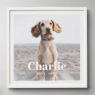 Pet Memorial Photo Personalized Keepsake Gift  Peel And Stick Photo Tile