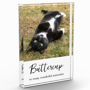 Pet Memorial Photo Simple Modern Typography Acrylic Award