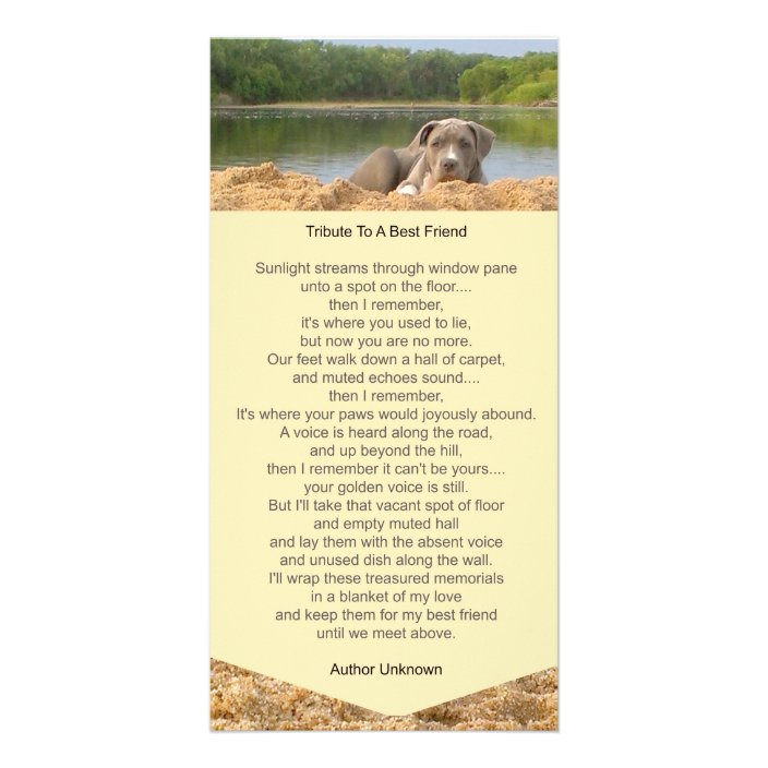 Pet Memorial Poem Photo Card