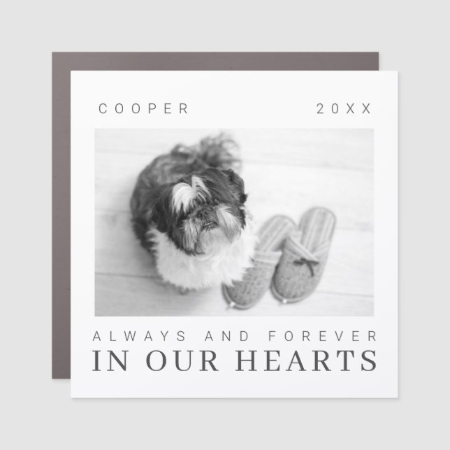 Pet Memorial Quote Simple Modern Chic Photo Car Magnet (Front)