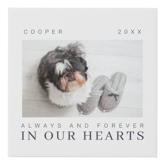 Pet Memorial Quote Simple Modern Chic Photo Faux Canvas Print (Front)
