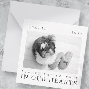 Pet Memorial Quote Simple Modern Chic Photo Note Card