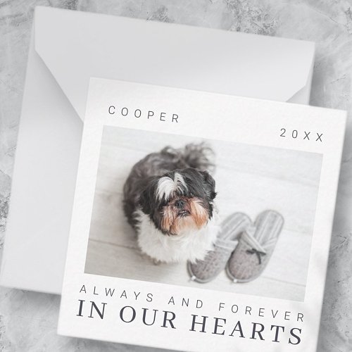 Pet Memorial Quote Simple Modern Chic Photo Note Card