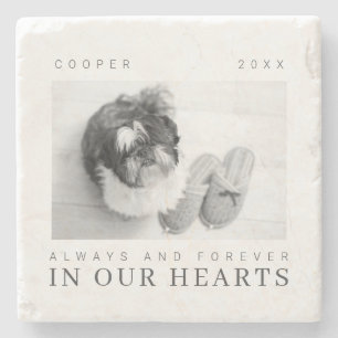 Pet Memorial Quote Simple Modern Chic Photo Stone Coaster