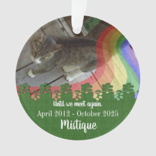 Pet Memorial Remembrance Beloved Keepsake Ornament