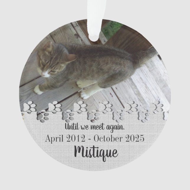 Pet Memorial Remembrance Beloved Keepsake Ornament (Front)