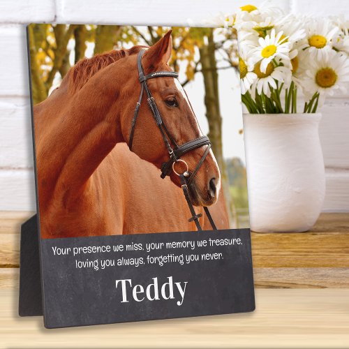 Pet Memorial Remembrance Custom Horse Photo Plaque