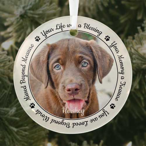 Pet Memorial Remembrance Modern Elegant Dog Photo Glass Ornament