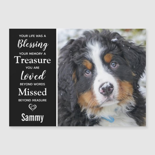 Pet Memorial Remembrance Photo Magnet (Front)