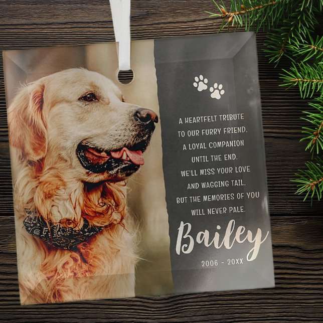 Pet Memorial Remembrance Poem Modern Simple Photo Glass Ornament (Creator Uploaded)