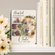 Pet Memorial Remembrance Sympathy 4 Photo