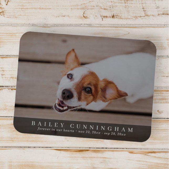 Pet Memorial Simple and Modern Custom Photo Card Magnet (Creator Uploaded)