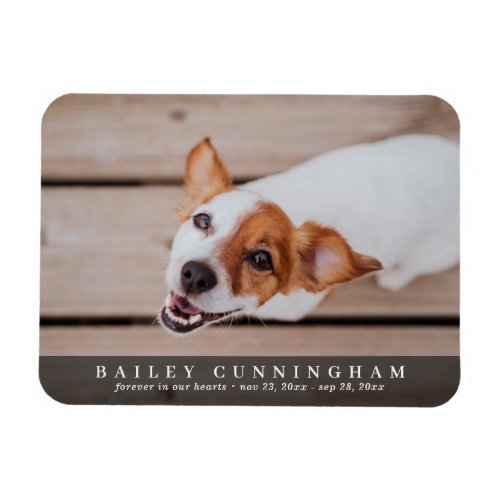 Pet Memorial Simple and Modern Custom Photo Card Magnet