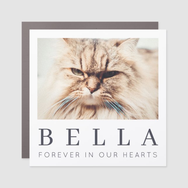 Pet Memorial Simple Modern Chic Family Photo Car Magnet (Front)