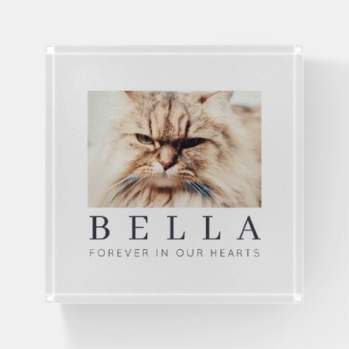 Pet Memorial Simple Modern Chic Family Photo Paperweight