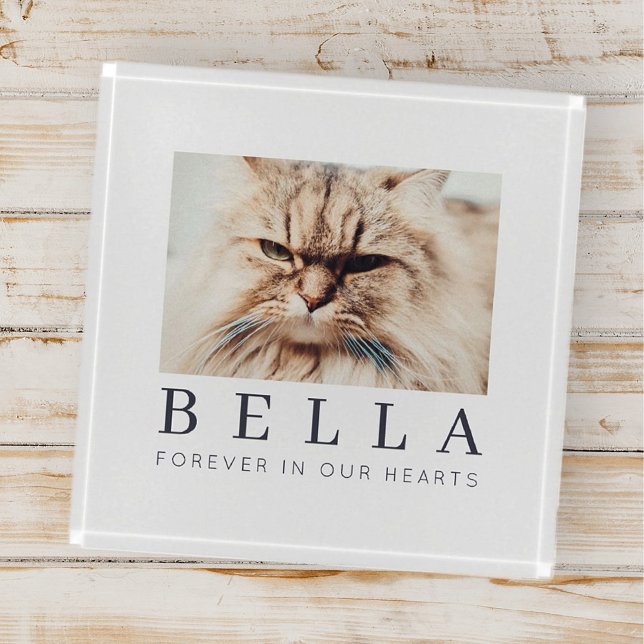 Pet Memorial Simple Modern Chic Family Photo Paperweight (Creator Uploaded)