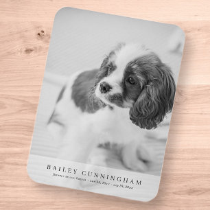 Pet Memorial Simple Modern Vertical Photo Card Magnet