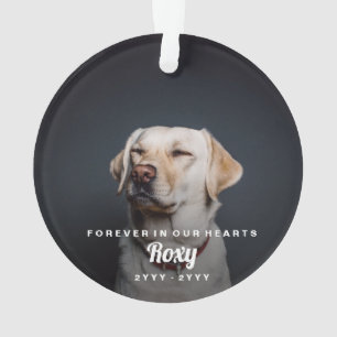 Pet Memorial Simple Photo Name and Years Ornament