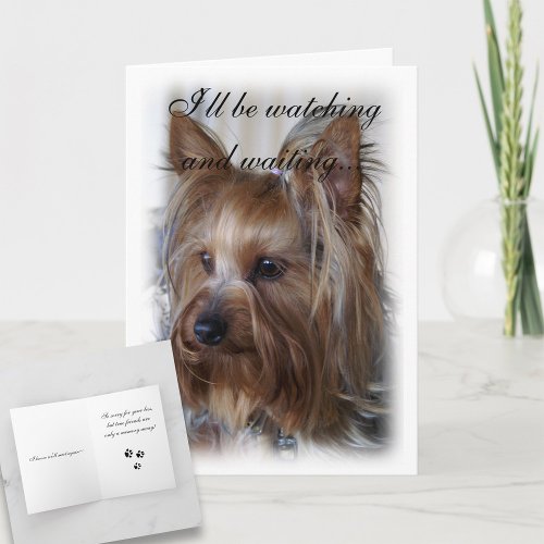 Pet Memorial Sympathy Card
