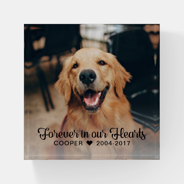 Pet Memorial | Sympathy Paperweight (Front)