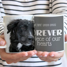 Pet Memorial Sympathy Photo