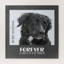 Pet Memorial Sympathy Photo