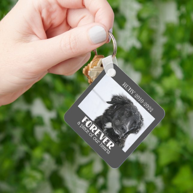 Pet Memorial Sympathy Photo Keychain (Hand)