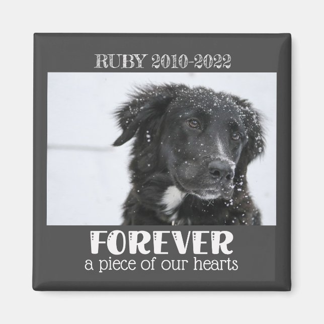 Pet Memorial Sympathy Photo  Magnet (Front)