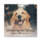 Pet Memorial Sympathy Photo Magnet Pet Memorial Sympathy Photo Magnet