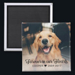 Pet Memorial Sympathy Photo Magnet<br><div class="desc">Pet Memorial | Sympathy Magnet featuring a photo of your beloved pet and the rustic yet elegant typography: "Forever in our Hearts." Plenty of space for you to personalize it. Makes a wonderful memory for dog lovers,  cat lovers,  or pet lovers of all kinds.</div>