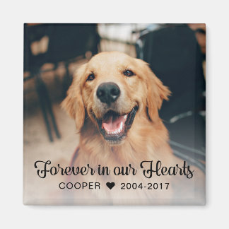 Pet Memorial Sympathy Photo Magnet