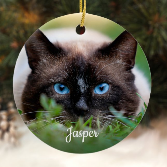 Pet Memorial Sympathy Rainbow Bridge Cat Photo Ceramic Ornament (Creator Uploaded)
