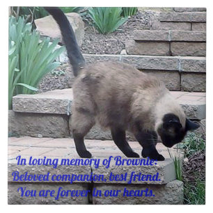 Pet Memorial Tile, Seal Point Cat Ceramic Tile