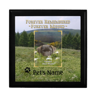 Pet Memorial Treasure Keeper Box
