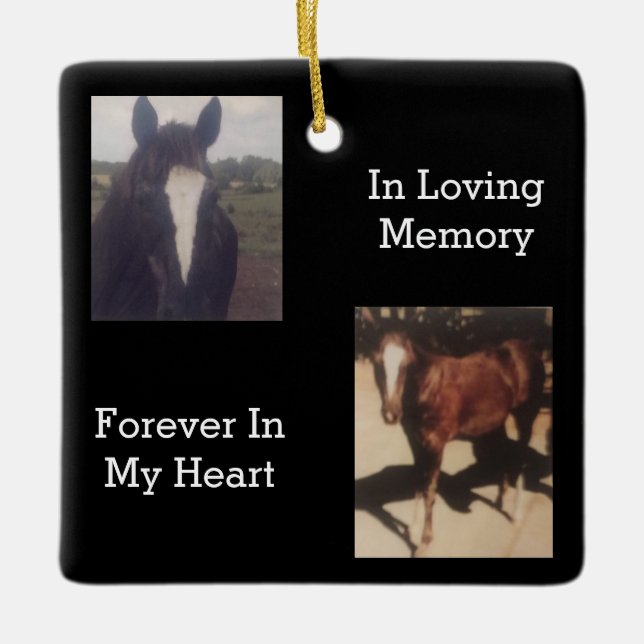 Pet Memorial Two Photo Keepsake Ceramic Ornament (Front)