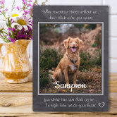 Pet Memorial Picture Frame - When Tomorrow Starts Without Me Loving Po — Pet  Memory Shop