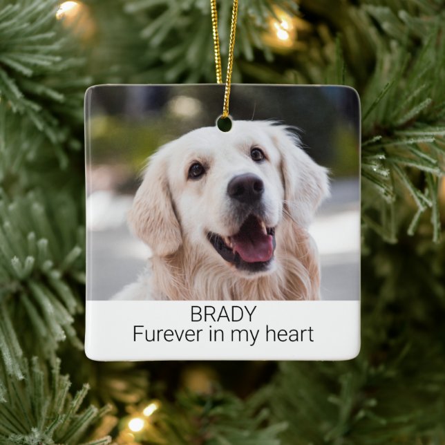 Pet Memorial with Name and Photo Ceramic Ornament (Tree)
