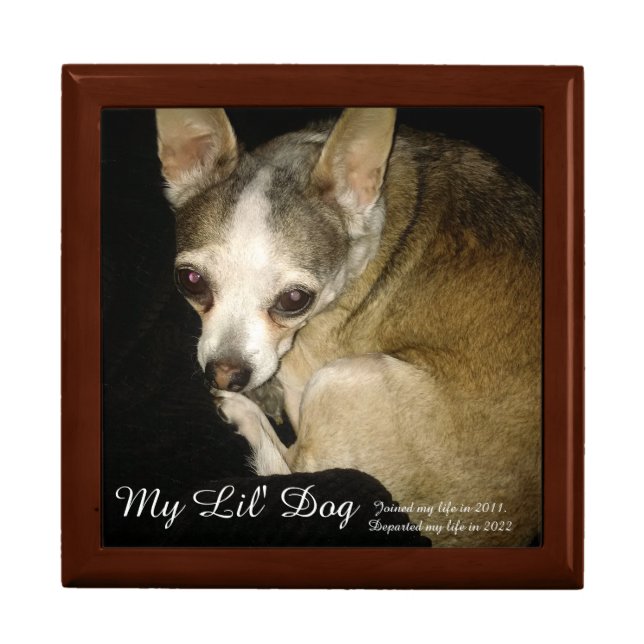 Pet Memory Box (Front)