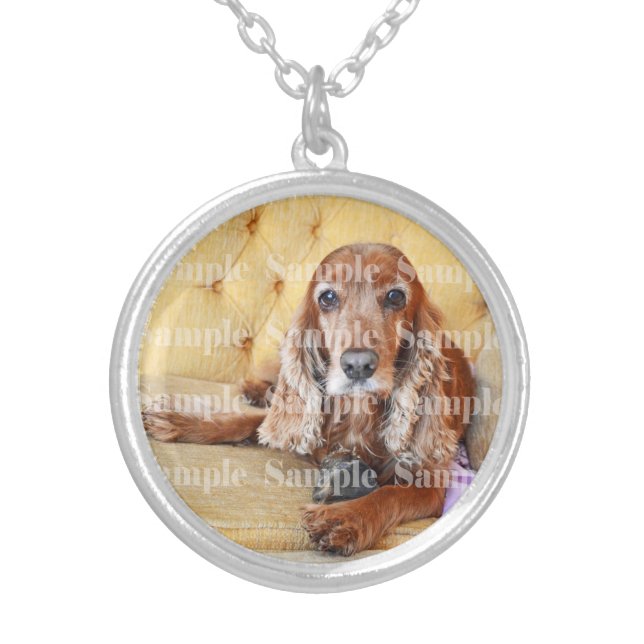 Pet memory keepsake / PERSONALIZE Silver Plated Necklace (Front)