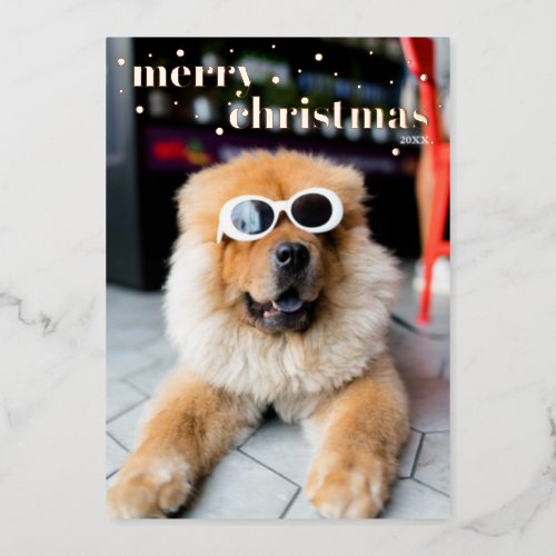 Pet Merry Christmas Gold Dots Foil Holiday Card